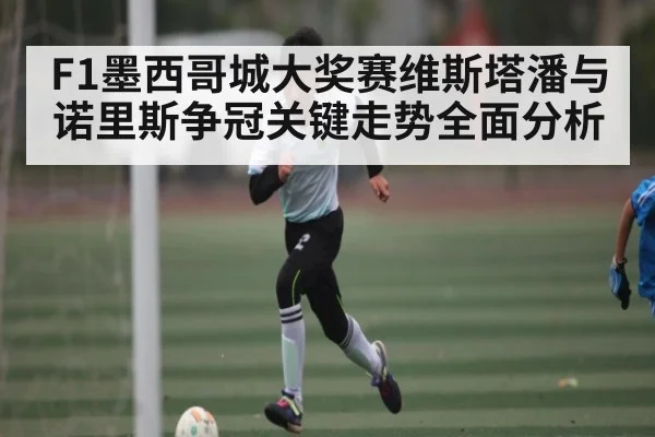 F1墨西哥城大奖赛维斯塔潘与诺里斯争冠关键走势全面分析
